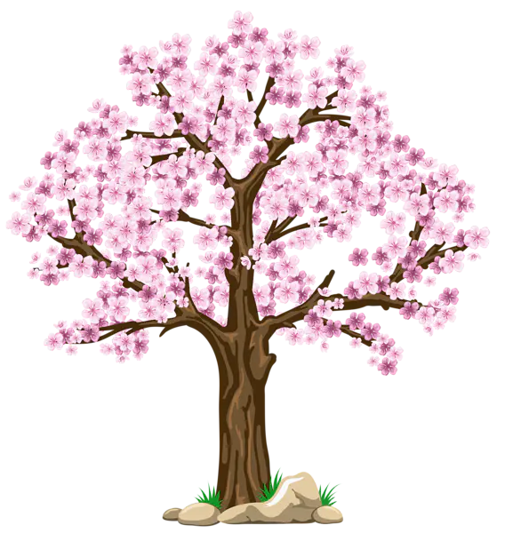 【PNG素材网-png.mixinnet.cn】数木png图片[577x600]