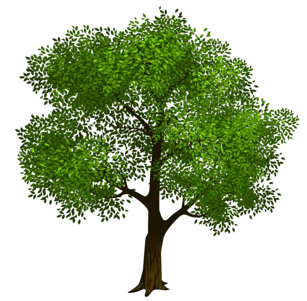 【PNG素材网-png.mixinnet.cn】数木png图片[600x588]