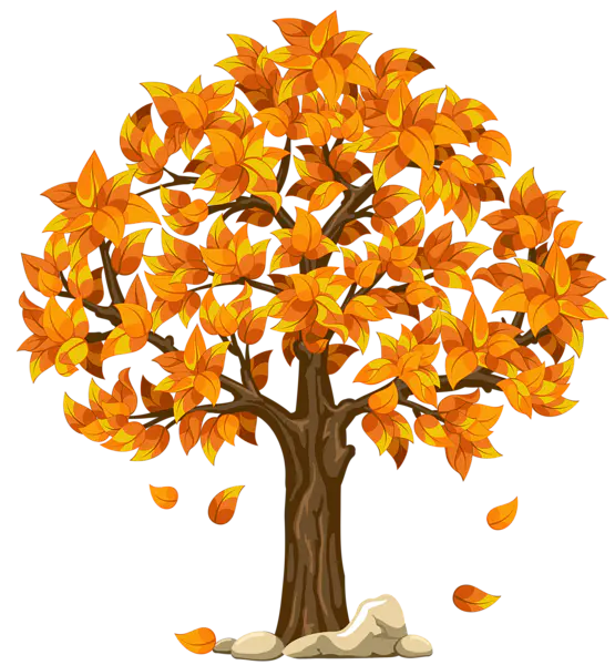 【PNG素材网-png.mixinnet.cn】数木png图片[555x600]