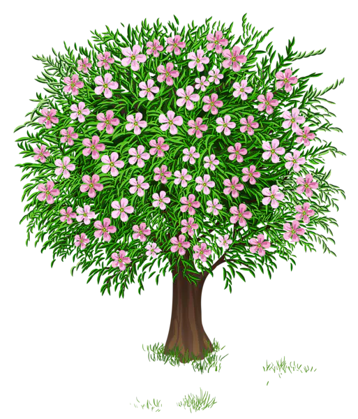 【PNG素材网-png.mixinnet.cn】数木png图片[513x600]