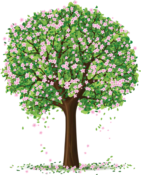 【PNG素材网-png.mixinnet.cn】数木png图片[485x600]