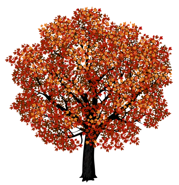 【PNG素材网-png.mixinnet.cn】数木png图片[581x600]