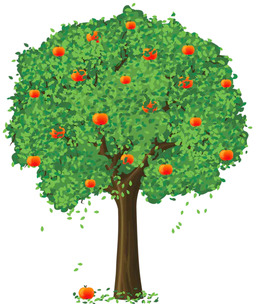 【PNG素材网-png.mixinnet.cn】数木png图片[501x600]