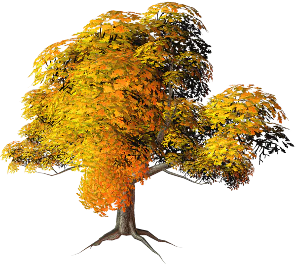 【PNG素材网-png.mixinnet.cn】数木png图片[600x536]