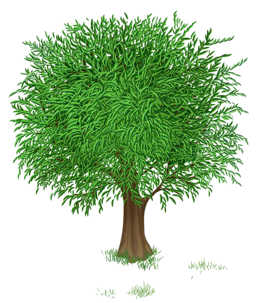 【PNG素材网-png.mixinnet.cn】数木png图片[513x600]