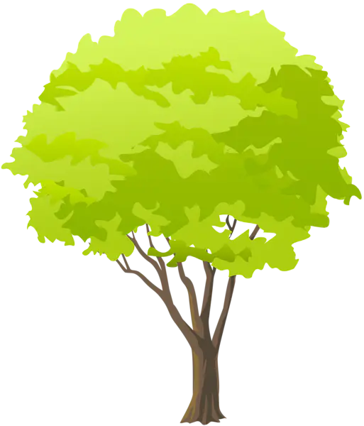 【PNG素材网-png.mixinnet.cn】数木png图片[513x600]