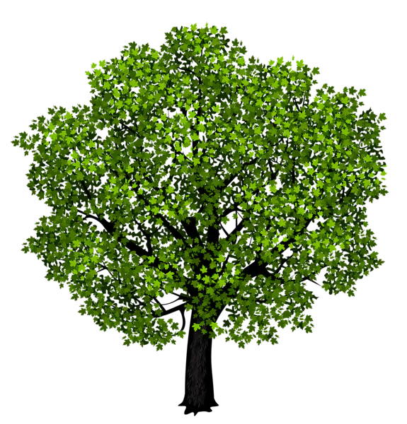 【PNG素材网-png.mixinnet.cn】数木png图片[575x600]