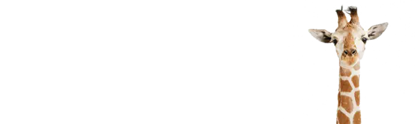 【PNG素材网-png.mixinnet.cn】长颈鹿[1000x300]