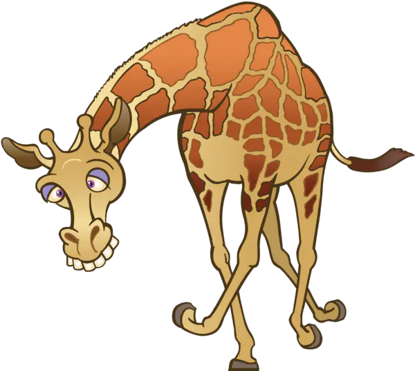 【PNG素材网-png.mixinnet.cn】长颈鹿[5598x5004]