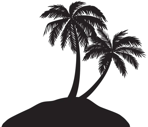 【PNG素材网-png.mixinnet.cn】棕榈树 [8000x6896]