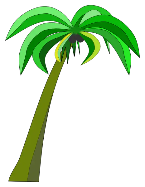 【PNG素材网-png.mixinnet.cn】棕榈树 [1858x2400]