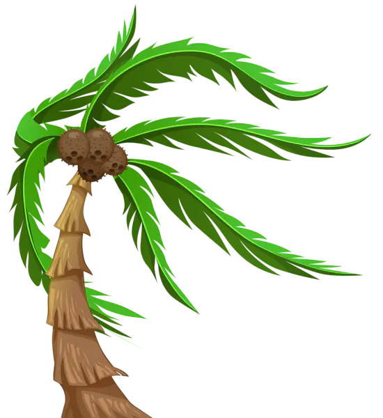 【PNG素材网-png.mixinnet.cn】棕榈树 [550x600]