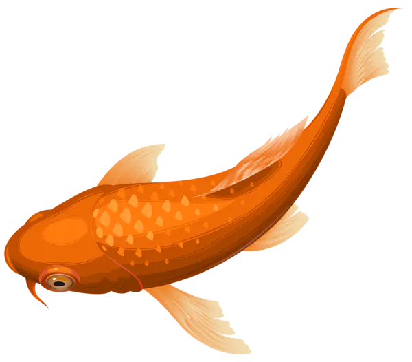 【PNG素材网-png.mixinnet.cn】金鱼[600x526]