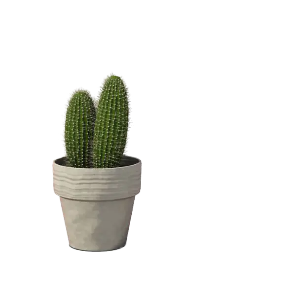 【PNG素材网-png.mixinnet.cn】仙人掌植物