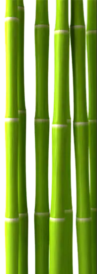 【PNG素材网-png.mixinnet.cn】绿色竹子[195x548]