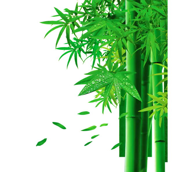 【PNG素材网-png.mixinnet.cn】绿色竹子[761x752]
