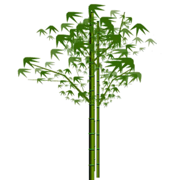 【PNG素材网-png.mixinnet.cn】绿色竹子[700x700]