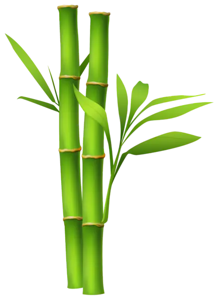 【PNG素材网-png.mixinnet.cn】绿色竹子[3849x5302]