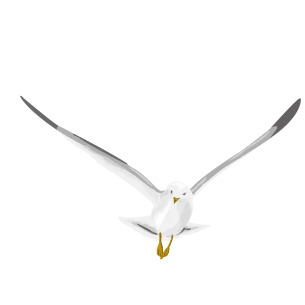 【PNG素材网-png.mixinnet.cn】鸽子素材