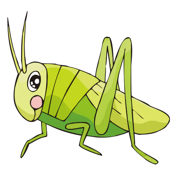 【PNG素材网-png.mixinnet.cn】螳螂(2500x2500)