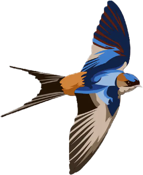 【PNG素材网-png.mixinnet.cn】燕子(689x841)