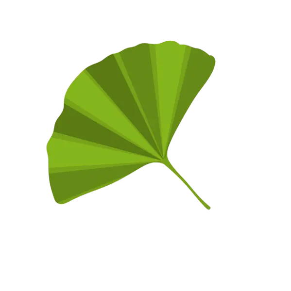 【PNG素材网-png.mixinnet.cn】扇形银杏叶