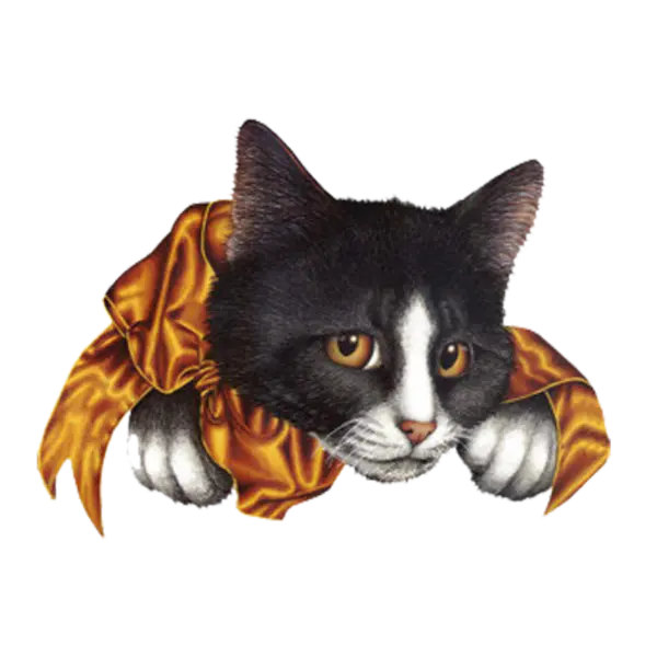 【觅图网-pic.51mitu.com】宠物猫咪