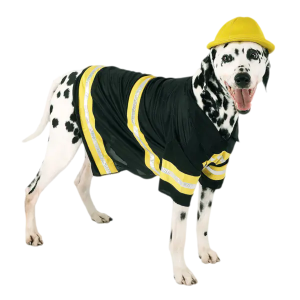 【觅图网-pic.51mitu.com】穿衣服的狗狗素材