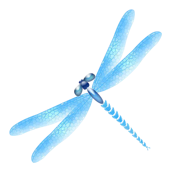 【PNG素材网-png.mixinnet.cn】蜻蜓
