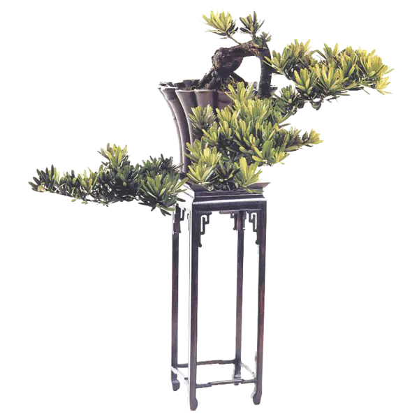 【PNG素材网-png.mixinnet.cn】精美的植物盆景png