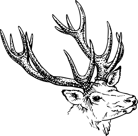 【PNG素材网-png.mixinnet.cn】鹿免抠PNG素材