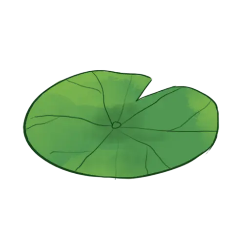 【PNG素材网-png.mixinnet.cn】荷叶