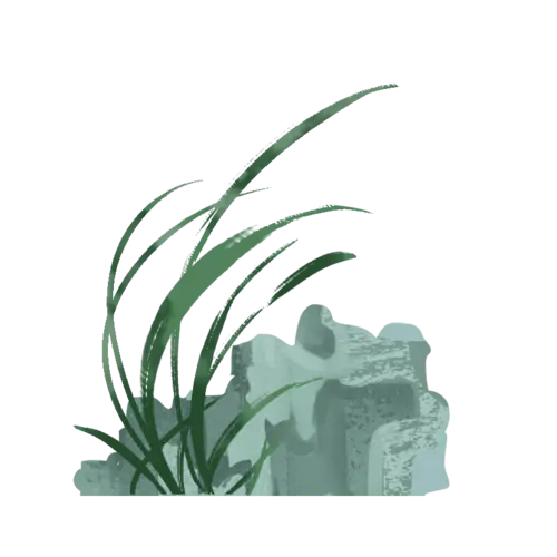 中国风-植物贴纸-兰草
