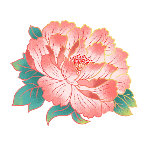 牡丹2