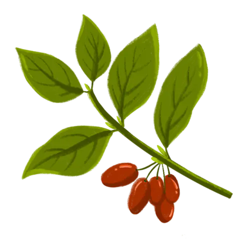 手绘-重阳节元素贴纸