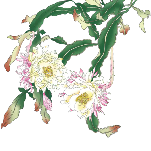 中国风植物贴纸-花卉