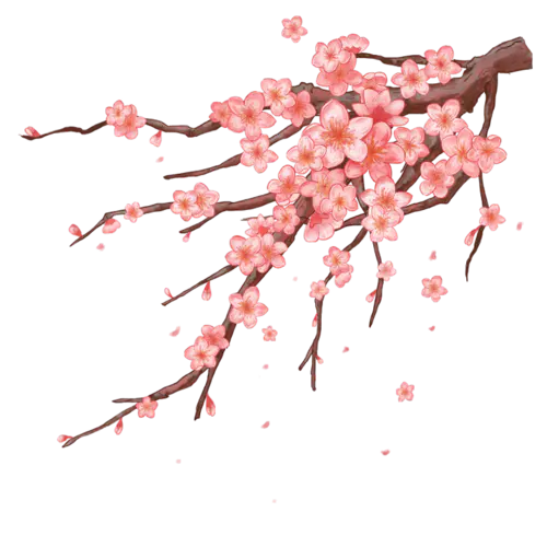 【PNG素材网-png.mixinnet.cn】桃花