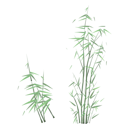中国风-植物元素-竹子