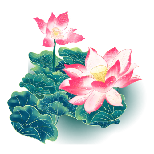 中国风-植物花卉-荷花