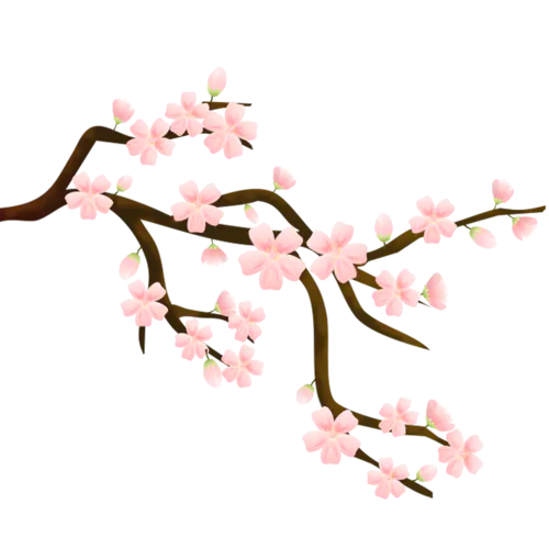 中国风-花枝