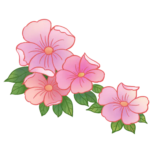 【PNG素材网-png.mixinnet.cn】花