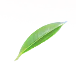 【PNG素材网-png.mixinnet.cn】TB2vP1qqFXXXXcwXXXXXXXXXXXX-1734086020.png (152×142)