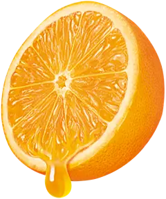 【PNG素材网-png.mixinnet.cn】橙子