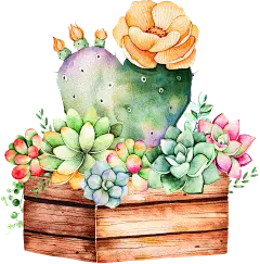 【PNG素材网-png.mixinnet.cn】多肉PNG