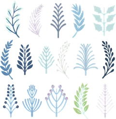 【PNG素材网-png.mixinnet.cn】d5853e233250ba4c24c622a4480677e6