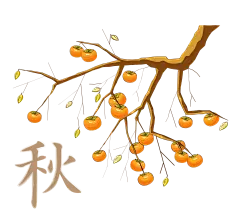 【PNG素材网-png.mixinnet.cn】矢量柿子树素材