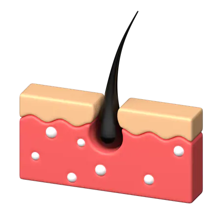 【PNG素材网-png.mixinnet.cn】皮肤病学