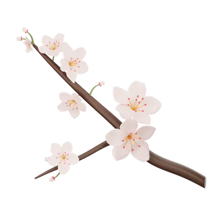 【PNG素材网-png.mixinnet.cn】樱花