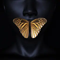 【PNG素材网-png.mixinnet.cn】Secret - Black &amp; Gold