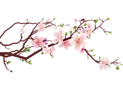 【PNG素材网-png.mixinnet.cn】桃花朵朵开
